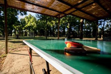 酒店 Agriturismo Pometti   Fattoria La Selva