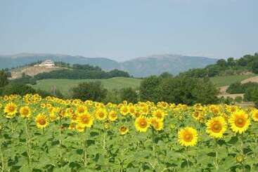 هتل La Fattoria