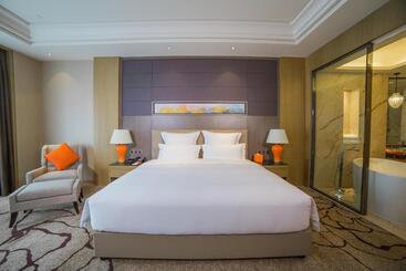 هتل Pullman Shishi Mattison