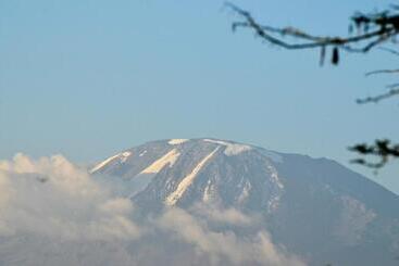 هتل Bristol Cottages Kilimanjaro