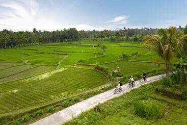 هتل Padma Resort Ubud