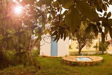 Olive Grove Resort