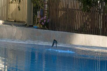 Olive Grove Resort