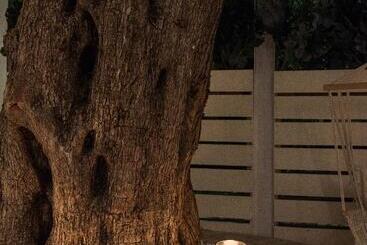 Olive Grove Resort