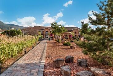 هتل Best Western Plus Cedar City