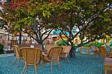 هتل Best Western Plus Cedar City