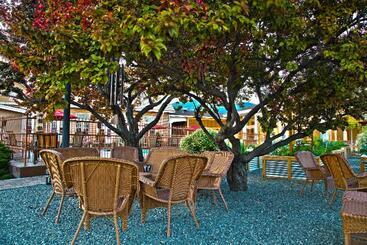 هتل Best Western Plus Cedar City