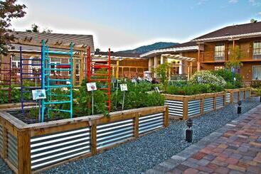 هتل Best Western Plus Cedar City