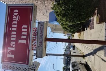 هتل Flamingo Inn