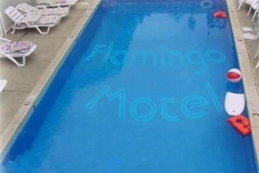 هتل Flamingo Inn