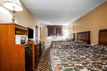 هتل Flamingo Inn
