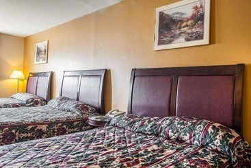 هتل Flamingo Inn
