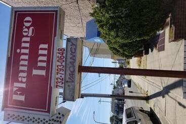 هتل Flamingo Inn