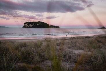 هاستل Surf N Stay Whangamata