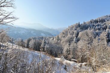 هتل Das Graseck Mountain Hideaway & Health Care