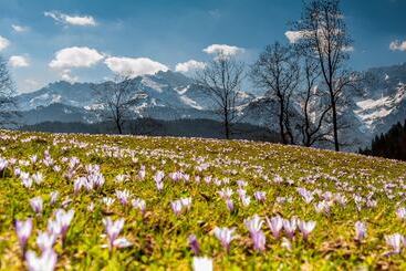 هتل Das Graseck   Mountain Hideaway & Health Care