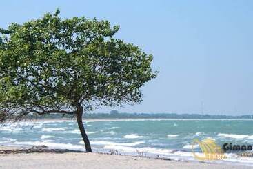 هتل Giman Free Beach Resort