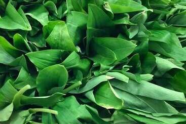 ホテル Restaurant Peifer