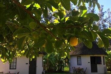 پانسیون Addo African Home