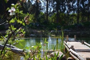 پانسیون Addo African Home