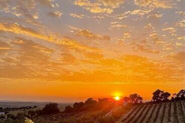 هتل Bodegas Campestral