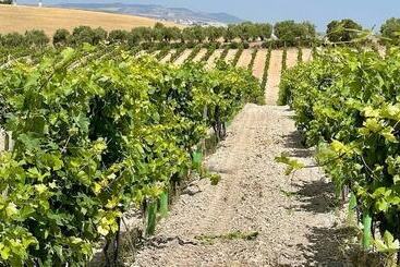 هتل Bodegas Campestral