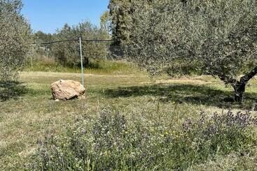 هتل روستایی Agriturismo Corte Degli Ulivi