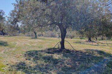هتل روستایی Agriturismo Corte Degli Ulivi