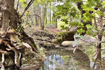 پانسیون Le Moulin Dumas