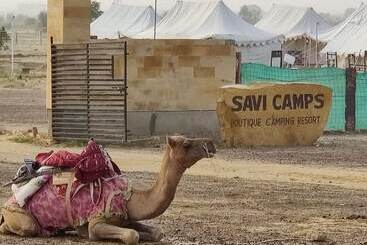 هتل Savi Camps