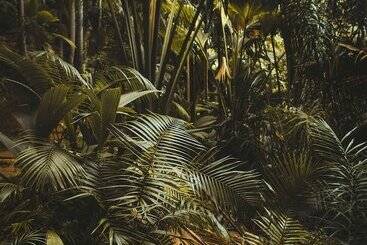 Radisson Hotel Saint Denis, La Reunion
