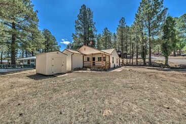 Ruidoso Cabin Walk To Local Park + Downtown