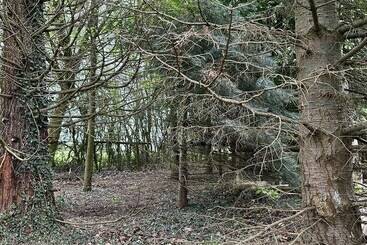 Woodlands Basic Bell Tent 2
