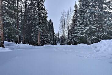 Mountain Cabin: 15 Mi To Breckenridge Ski Resort!