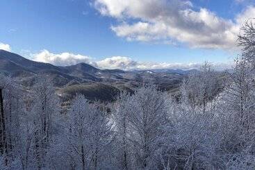 Cabin W/ Bbq + Games   Walk To Blue Ridge Parkway!