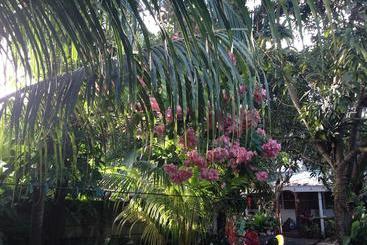 تختخواب و صبحانه Homestay De Bai