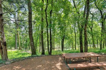 Serene Cabin W/ Riverfront Views & Access!