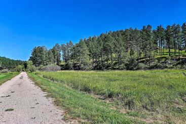 Heart Of Black Hills Home By Mickelson Trail!