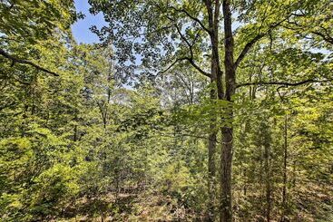 Secluded Studio W/ Deck, ~8 Miles To Beaver Lake!