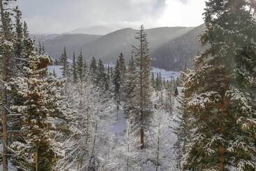 Alma Home W/ Mtn Views ~20 Mi To Breckenridge