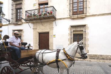 هتل Casa Palacio Sur I