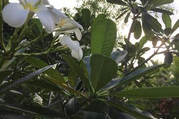هتل Jardin De La Paix