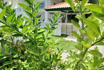 Adonai Hotel Boutique