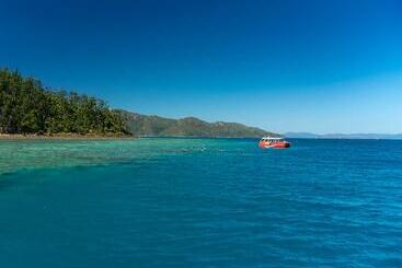 Heart Hotel And Gallery Whitsundays