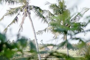 Planta Boutique Resort - Canggu