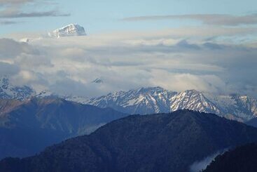 酒店 The Rudraksh, A Himalayan Retreat
