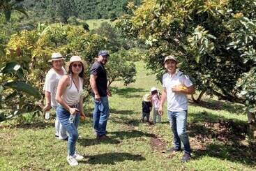 هتل Campestre El Triunfo