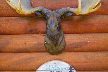 Moose Lodge With Hot Tub