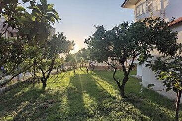 اقامتگاه Freeman Greenlees Hellenic Garden House