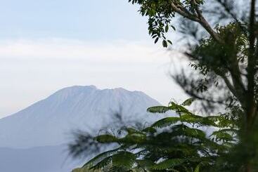 Deep Roots Dive & Yoga Resort